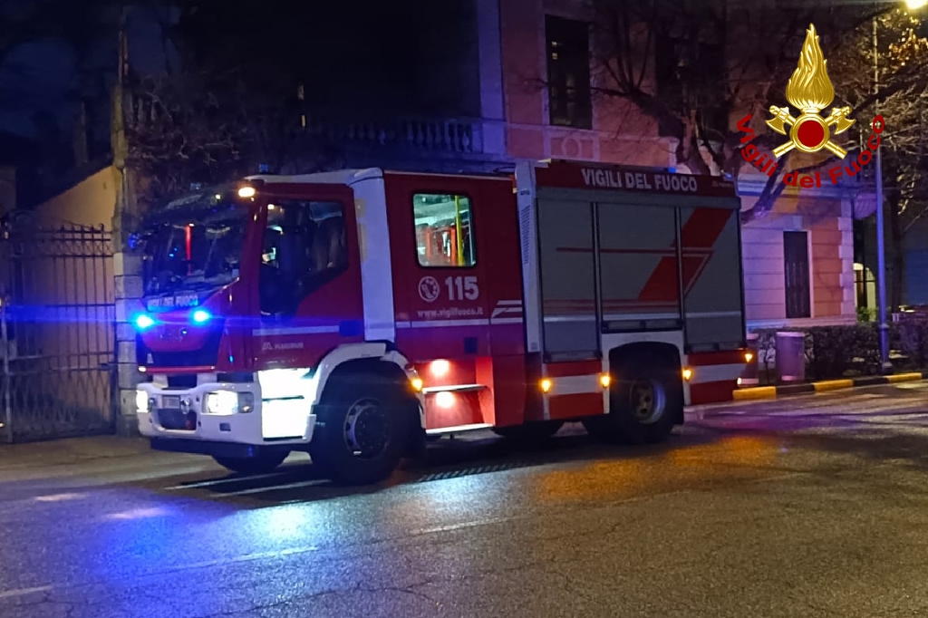 Trieste, il maltempo abbatte un albero in viale Miramare: strada invasa dai rami